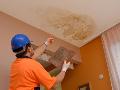 Roof Leaks