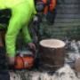 Tree Surgeon Dublin