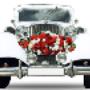 Road Chauffeur, Wedding Vehicles, Dublin