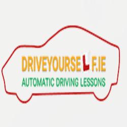 Drive Yourself Driving School (Dublin North)