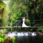 Photography by Jan, Wedding Days, Dublin