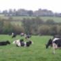 Derogation Plans & Records