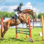 Financial Experts Accident and Sporting Injury Cover
