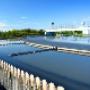 Septic Tank & Waste Water Specialists