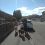 2 dogs and the owner business