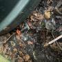 Oil tank leaks