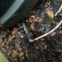 Oil tank leaks