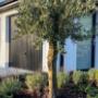 Landscaping, Driveways, Garden Maintenance, Composite Decking, Groundswork, and more in Leinster
