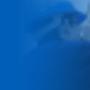 Security Services
