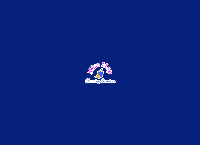 Miss Mop