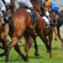 Racing and Country Sports