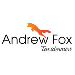 Andrew Fox Taxidermist