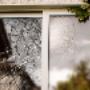 Replacement Windows