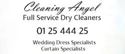 Cleaning Angel
