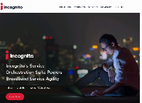 Incognito Software Systems Inc.
