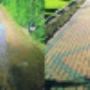 Wexford Driveway Cleaning Moss Removal