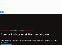Pro Plumbing Kildare's website