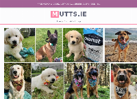 Mutts. ie pet shop's website