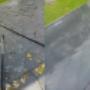 Expert Roof Cleaning, Moss Removal - Advanced Gardening Service - Wexford, Waterford, Kilkenny