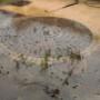 Power Washing Patio Cleaning - Advanced Gardening Service Wexford Waterford Kilkenny