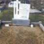 Before bushfield cemetery co mayo