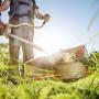 power washing
grass cutting
carpentry
window cleaning