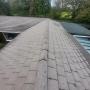 power washing
grass cutting
carpentry
window cleaning