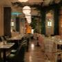 Wilde terrace at night