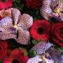 Florist Pick