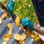 Gutter Cleaning.