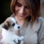 Pet Health Care