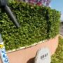 Expert Hedge Trimming South Dublin - Atlas Gardening and Steam Cleaning