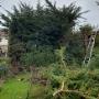 Garden Clearance Services South Dublin - Atlas Gardeing and Steam Cleaning