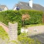 Professional Hedge Trimming South Dublin - Atlas Gardening and Steam Cleaning