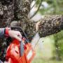 Tree Surgery, Pruning, Topping and Stump Removal Dublin - Atlas Gardening and Steam Cleaning