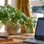 Self-Employed in Ireland