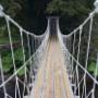 The natural path to health