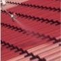 Roof Cleaning & Painting