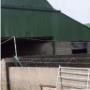 Farm Maintenance and Painting