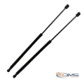Ford Fiesta Rear Door Gas Struts