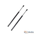 Ford Focus Rear Door Gas Struts