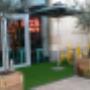 Artificial Grass