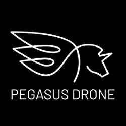 Pegasus Drone