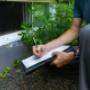 Damp Survey