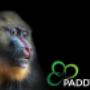 PaddyPrint Cover image