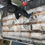Flat Roof Repair Dublin