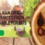 Logs Online