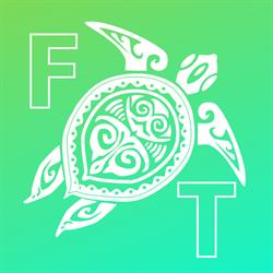 Flying Turtle Productions