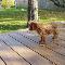 Composite-Decking-Teak