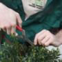 Remodelling Landscapes